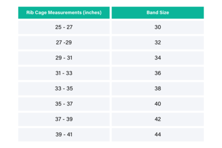 Bra Band Size Chart Exercise and Breast Support
